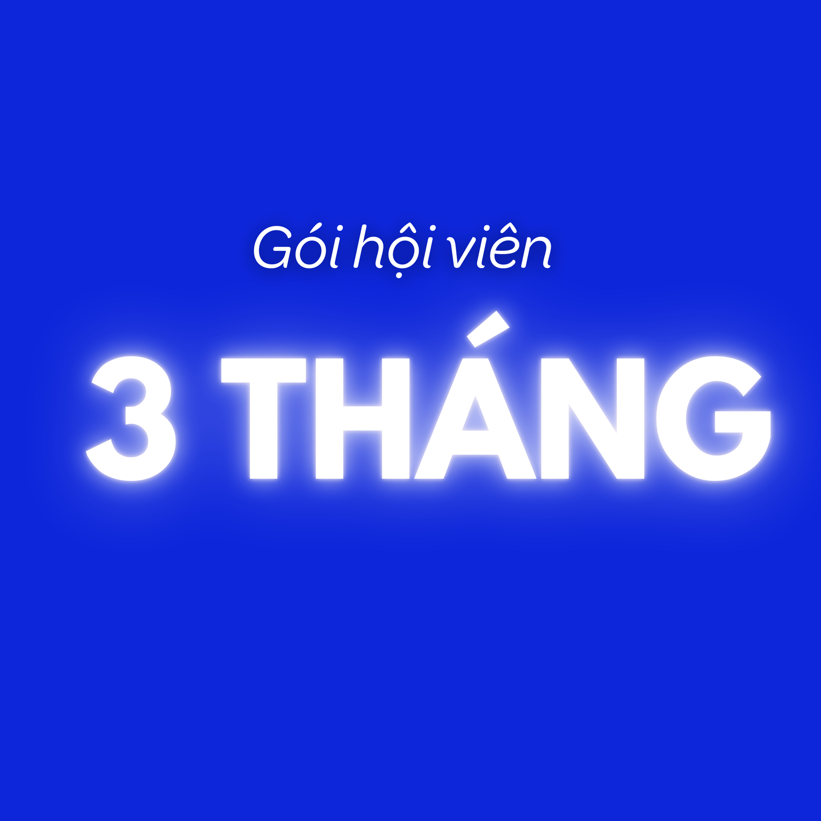 Gói hội Viên 3 THÁNG - Khóa Học Anh Phan